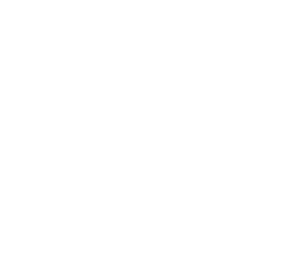 Ice Factory logo white 2022
